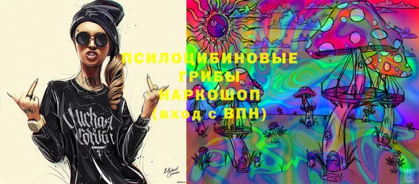 прущие грибы Кулебаки