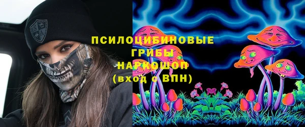 дмт Кукмор