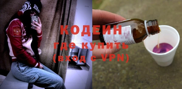 прущие грибы Кулебаки